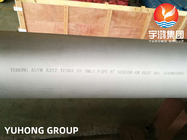Tubo senza cuciture di acciaio inossidabile ASTM A312 TP304 1,4301 austenitici
