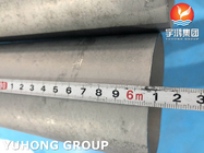 Estremità d'acciaio marinata della pianura di rendimento elevato dei tubi senza saldatura ASTM A789 S32205 di acciaio inossidabile del duplex solido del tubo