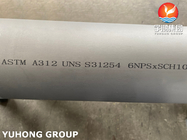ASTM A312 UNS S31254, 254SMO Tubo in acciaio inossidabile duplex senza cuciture per impianti di produzione di petrolio e gas