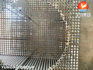 ASTM scambiatore di calore assemblare foglio di tubo e piastra di supporto 304 316 / titanio / C276