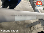 ASTM A312 UNS S31254 (6% Moly, 1,4547), 254MO, stiratura a freddo e laminare a freddo, tubo senza cuciture inossidabile di Stel