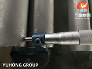 Metropolitana dello scambiatore di calore del tubo senza saldatura di acciaio inossidabile di ASTM A213 TP347H/UNS S34709