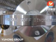 Slittamento di DIN2573 ASTM A182 F316L sulle flange forgiate di acciaio inossidabile delle flange