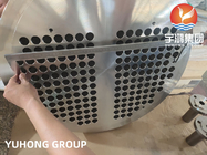 Scambiatore di calore forgiato di acciaio inossidabile EN10028 1,4541/F321 Tubesheet