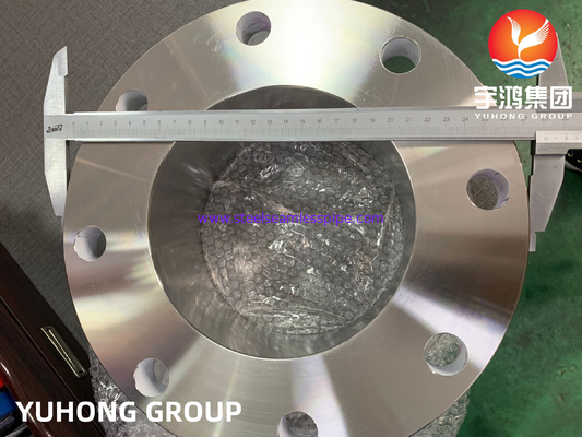 ASTM A182 F44 / lega 254 SMO / UNS S31254 Flancella di collo di saldatura in acciaio inossidabile