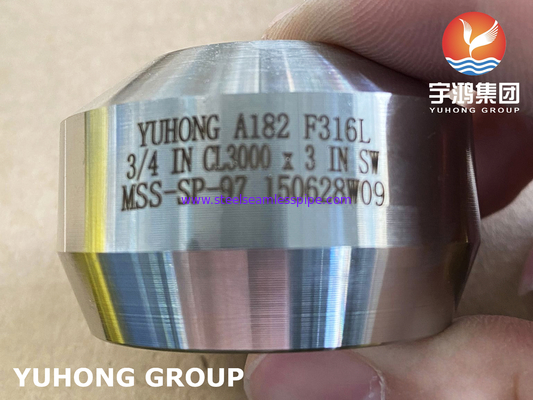 SS Weldolet A182 F316 / F316L Outlet Fitting forgiato in acciaio inossidabile
