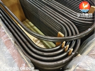 Tubi senza saldatura dell'acciaio legato di ASTM A213 T9 per la caldaia e lo scambiatore di calore