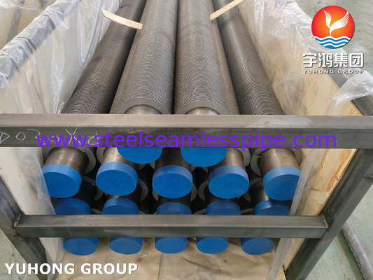 ASME SA106 GR.B Tubi a pinna saldata HF