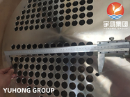 Scambiatore di calore di acciaio inossidabile EN10028 1,4541 F321 Tubesheet pinta UT