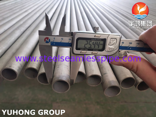 Tubo senza saldatura in acciaio inossidabile duplex ASME SA789 S32205