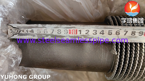ASTM A335 Gr P9 Tubo a pinna serrata in acciaio legato per forni