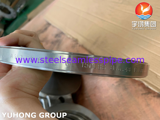 B16.48 ASTM A182 F316L Occhiali in acciaio inossidabile con flange cieca Figura-8