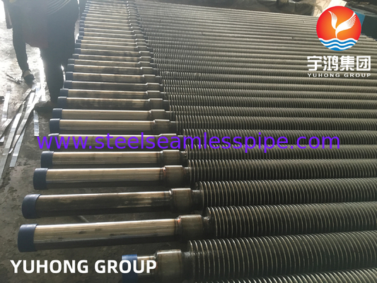 ASME SA213 T12 Tubo a pinne saldato ad alta frequenza (HFW) per asciugatrice