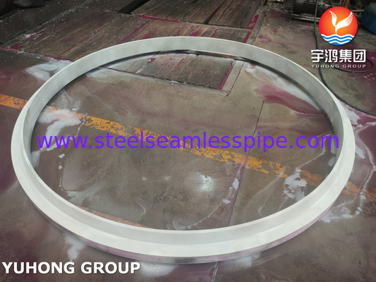 ASTM A182 F321 (UNS S32100) Flancetta di collo di saldatura in acciaio inossidabile forgiata, faccia sollevata