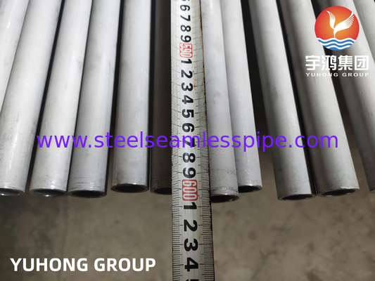 ASTM A312 TP321H Tubo senza saldatura in acciaio inossidabile per petrochimico