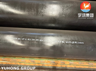 ASTM A53 API 5L Gr.B Tubi ERW in acciaio al carbonio con rivestimento nero