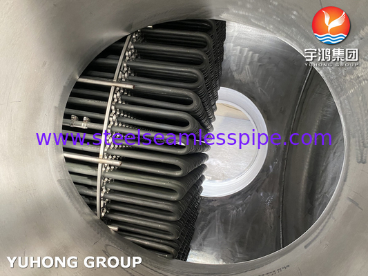 U Bend Tube Bundle, Acciaio inossidabile U Tube Type Fuel Oil Heater