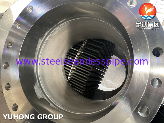 U Bend Tube Bundle, Acciaio inossidabile U Tube Type Fuel Oil Heater