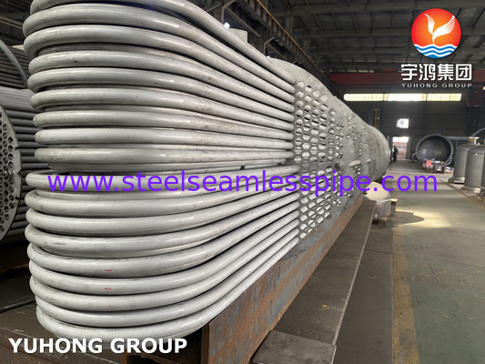 U Bend Tube Bundle, Acciaio inossidabile U Tube Type Fuel Oil Heater