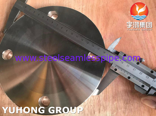 AS4087 F316L BIind FF Flanche in acciaio inossidabile