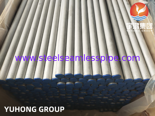 ASTM A213/ ASME SA213 TP317/ TP317L/TP317LMN Tubo senza cuciture in acciaio inossidabile