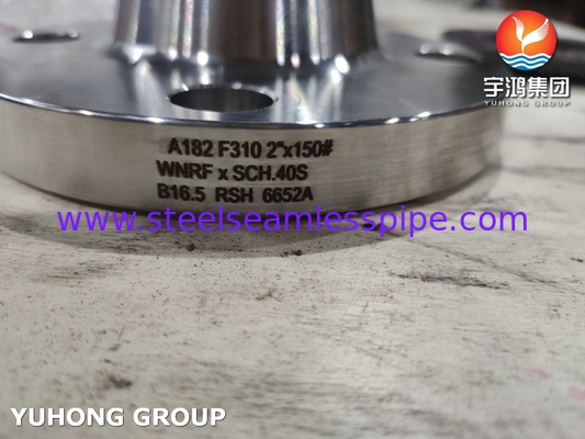 Buona saldabilità ASTM A182 F310 (1.4841) BLRF WNRF flange forgiata