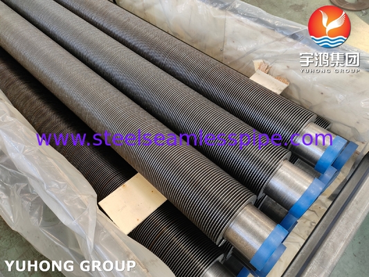 ASTM A106 GR.B Hfw Tubo a pinna di forno a vapore Cs saldato in solido