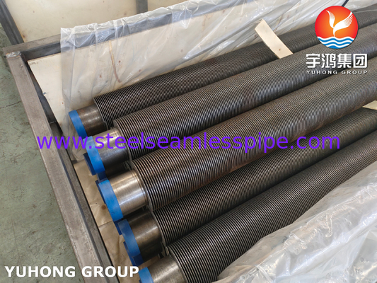 ASTM A106 GR.B Hfw Tubo a pinna di forno a vapore Cs saldato in solido