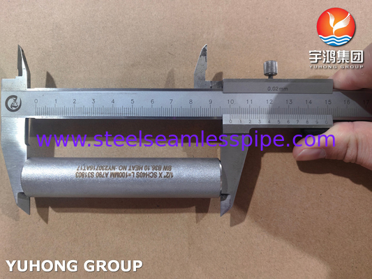 ASME B36.10 Nipple di tubo ASTM A790 UNS S31803 Nipple in acciaio duplex senza cuciture
