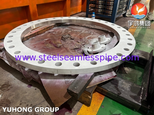 ASTM A240 F904L Flange Acciaio inossidabile super austenitico con buona resistenza alla corrosione