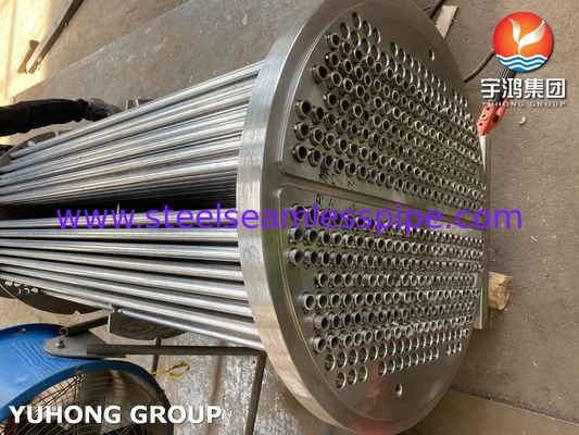 ASME U Stamp Customized Tube Bundle Steel Heat Exchanger Tubo senza saldature