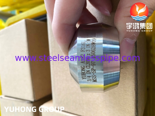 SS Weldolet A182 F316 / F316L Outlet Fitting forgiato in acciaio inossidabile