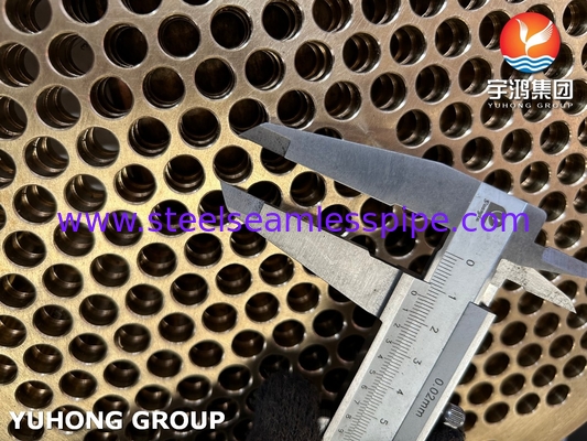 ASTM B171 C46400 Fogli di tubi in ottone per scambiatori di calore e caldaie