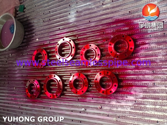 B16.5 ASTM A182 F60 1.4462 SORF Flange forgiata per sistemi di tubazioni