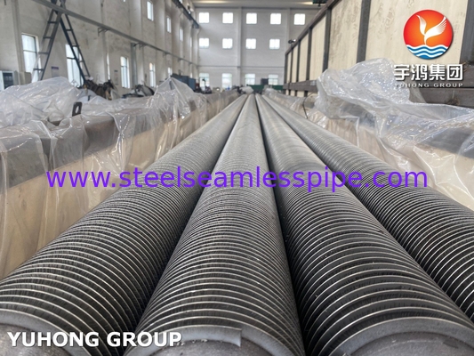 ASTM A312 TP316L Tubo in acciaio inossidabile tipo Hfw con pinne solide per l'economizzatore