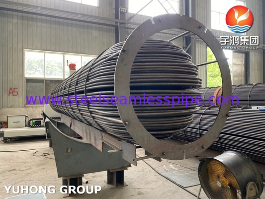 ASME U Stamped Tube Bundle Assembly con scambiatore di calore senza soluzione di continuità U Bend Tube