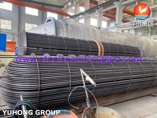 ASME U Stamped Tube Bundle Assembly con scambiatore di calore senza soluzione di continuità U Bend Tube