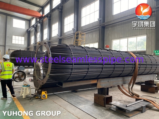 ASME U Stamped Tube Bundle Assembly con scambiatore di calore senza soluzione di continuità U Bend Tube