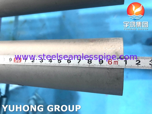 ASTM A789 UNS S32205 Tubo in acciaio duplex senza cuciture per l'industria chimica