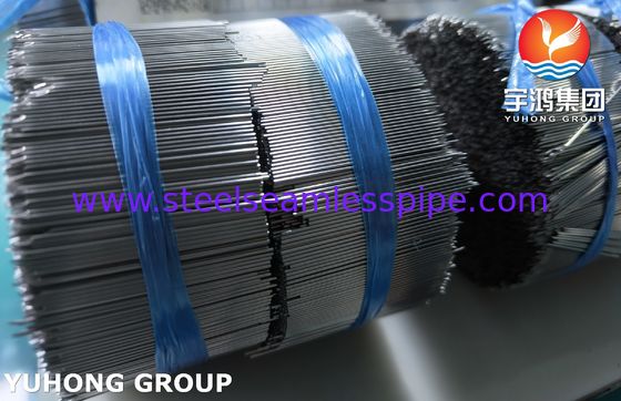 SUS304 Aglio per insulina, tubo per l' iniezione sottocutanea Aglio per il trattamento del diabete