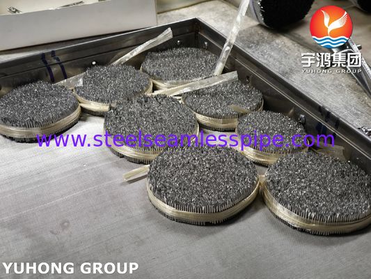 SUS304 Aglio per insulina, tubo per l' iniezione sottocutanea Aglio per il trattamento del diabete