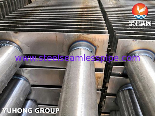 Tubo a pinna di acciaio inossidabile tipo H A213 TP316L con pinna SS SS316L per riscaldatore di fumo