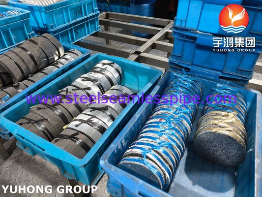 Tubo di ago per iniezione in acciaio inossidabile, SUS304 16G Aglio veterinario per la cura degli animali