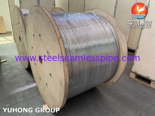 ASTM A269 TP316L Tubo senza cuciture in acciaio inossidabile