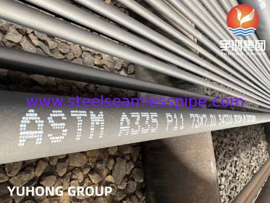 Tubo senza saldatura in acciaio legato ASTM A335 P5 P9 P11 P12 P21 P22 P91 Per l'industria petrolchimica