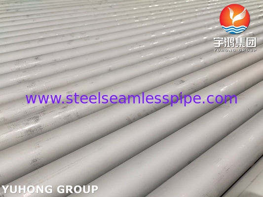 Tubo senza cuciture in acciaio inossidabile ASTM A213 ASME SA213 TP304/304L, TP316L, TP310S, TP316Ti, TP321/321H, TP347, TP317