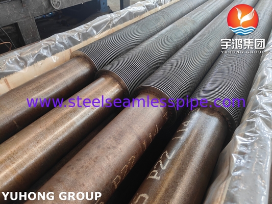 ASTM A335 P22 Tubo senza cuciture in acciaio legato con 11-13CR HFW Fin Tube per bobina di convezione