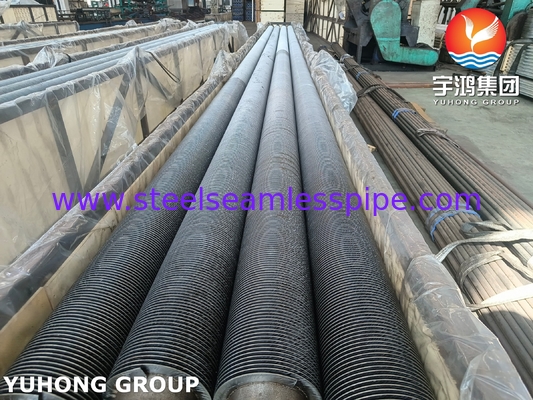 Acciaio legato HFW tubi con pinna solida saldati ad alta frequenza ASME SA213 T5 T9 T11 T12 Applicazione caldaia a condensatore