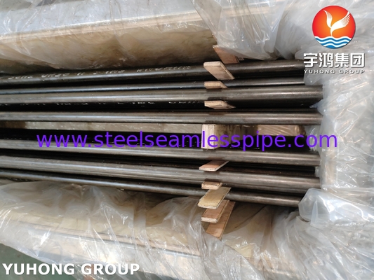 ASTM A213 / ASME SA213 T9 Tubo U Bend Tube Lega di acciaio Tubo per scambiatori di calore senza saldatura