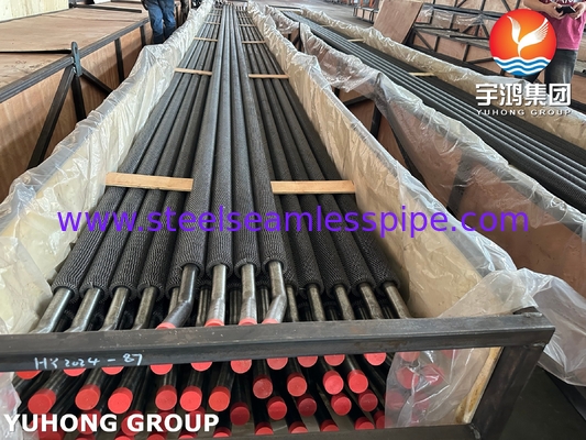 ASTM A213 T11 Tubo senza sesamo in acciaio legato Tubo serrato HFW Fin per raffinerie